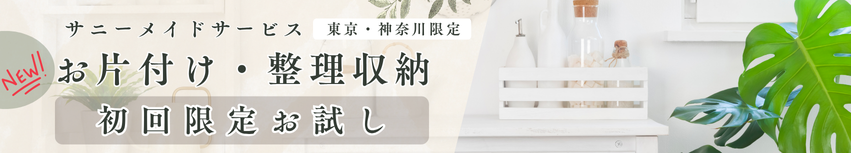 整理収納サービス