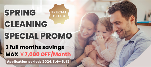 Spring cleaning special promo