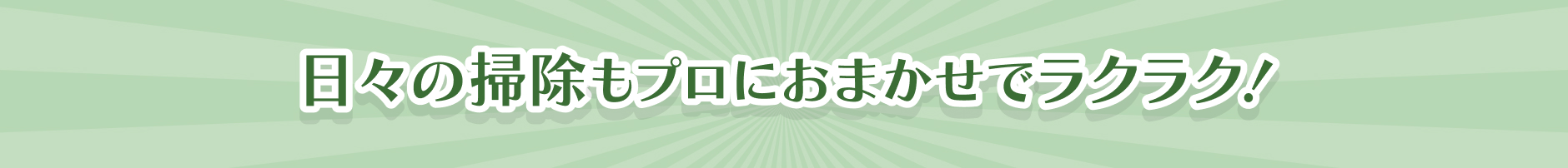 日々の掃除もプロにおまかせでラクラク！