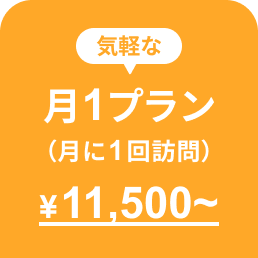 月1プラン（月に1回訪問）11,500円〜