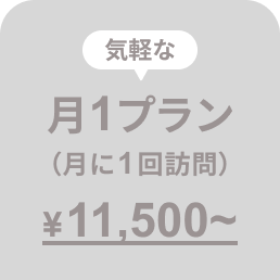 月1プラン（月に1回訪問）11,500円〜