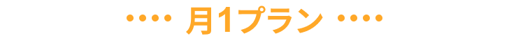 月1プラン