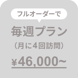 毎週プラン（月に4回訪問）46,000円〜