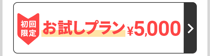 初回限定　お試しプラン　8,800円