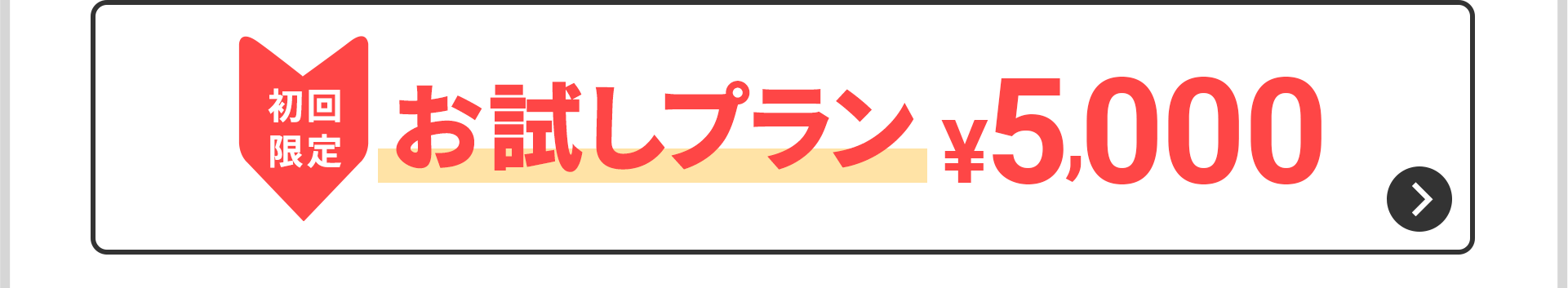 初回限定　お試しプラン　8,800円